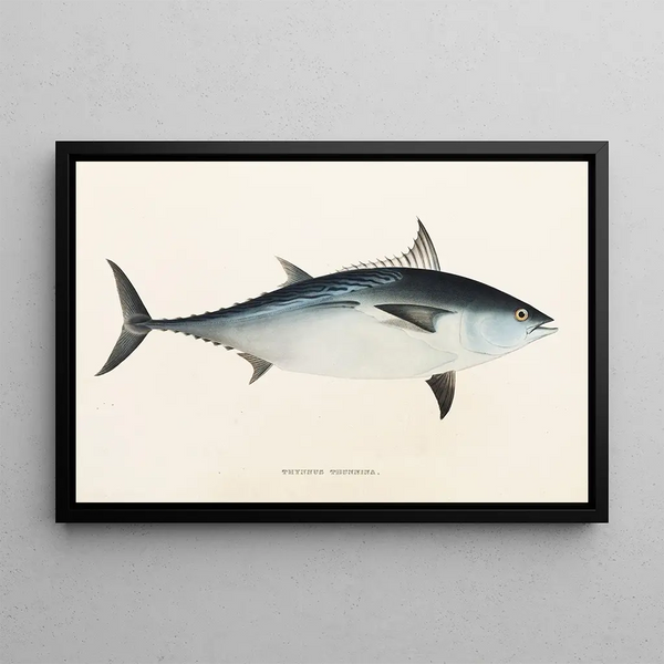 Fauna japonica Pl061 - Philipp Franz Balthasar von Siebold — quadro incorniciato alla parete