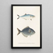 Fauna japonica Pl070 - Philipp Franz Balthasar von Siebold — quadro incorniciato alla parete