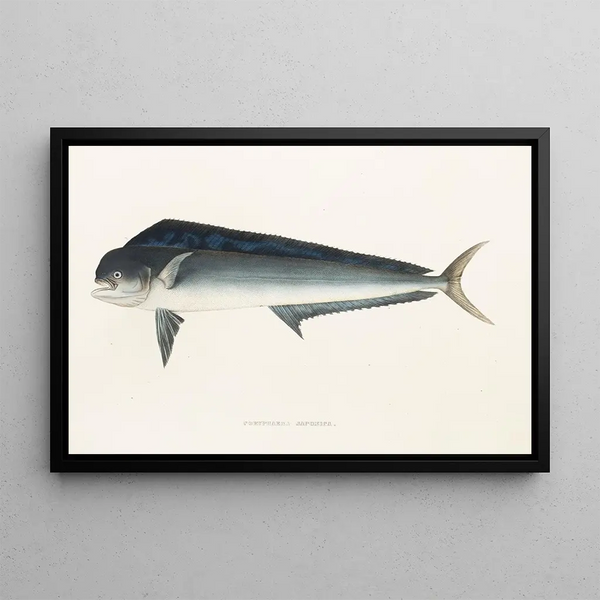 Fauna giapponese Pl077 - Philipp Franz Balthasar von Siebold — quadro incorniciato alla parete