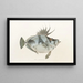 Fauna giapponese Pl079 - Philipp Franz Balthasar von Siebold — quadro incorniciato alla parete