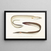 Fauna japonica Pl130 - Philipp Franz Balthasar von Siebold — quadro incorniciato alla parete