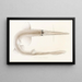 Fauna giapponese Pl154 - Philipp Franz Balthasar von Siebold — quadro incorniciato alla parete