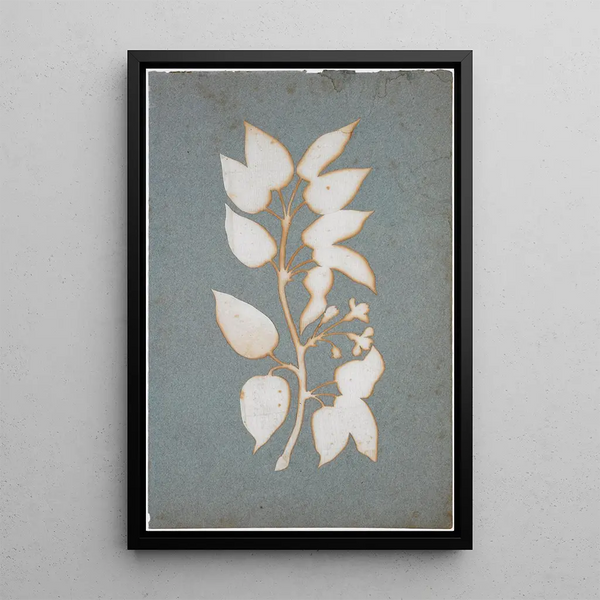 Branche de fleurs - Philipp Otto Runge — quadro incorniciato alla parete