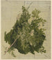 Buisson à fleurs blanches - Philipp Rumpf — vista dell’opera
