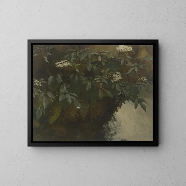 Sureau in fiore - Philipp Rumpf — quadro incorniciato alla parete
