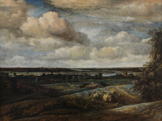 Panorama olandese con vista lontana su Haarlem - Philips Koninck — vista dell’opera