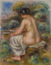 Bagnante con biancheria - Pierre-Auguste Renoir — vista dell’opera