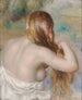 Blonde che si pettina i capelli - Pierre-Auguste Renoir — vista dell’opera