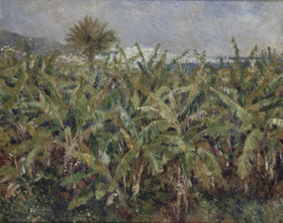 Campo di bananiers - Pierre-Auguste Renoir — vista dell’opera