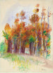 Bosquet d'arbres - Pierre-Auguste Renoir — vista dell’opera