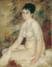 Dopo il bagno - Pierre-Auguste Renoir — vista dell’opera