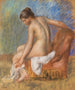 Nu al sedile - Pierre-Auguste Renoir — vista dell’opera