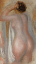 Nu de dos - Pierre-Auguste Renoir — vista dell’opera