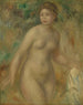 Nu - Pierre-Auguste Renoir — vista dell’opera