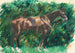 Un cavallo - Pierre-Auguste Renoir — vista dell’opera