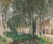 Les Peupliers - Pierre-Eugène Montzin — vista dell’opera
