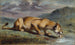 Lionne ferita - Pierre Andrieu — vista dell’opera