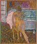 Donna al suo trucco - Pierre Bonnard — vista dell’opera