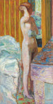 Nu debout - Pierre Bonnard — vista dell’opera