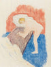 Nu La Baignoire - Pierre Bonnard — vista dell’opera
