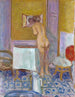 nudo con tessuto rosso nudo ai suoi vestiti - Pierre Bonnard — vista dell’opera