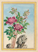 Plantes de Chine Pl001 - Pierre Joseph Buchoz — vista dell’opera