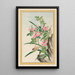 Plantes de Chine Pl008 - Pierre Joseph Buchoz — quadro incorniciato alla parete