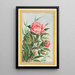 Plantes de Chine Pl009 - Pierre Joseph Buchoz — quadro incorniciato alla parete