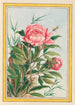 Plantes de Chine Pl009 - Pierre Joseph Buchoz — vista dell’opera