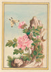 Plantes de Chine Pl010 - Pierre Joseph Buchoz — vista dell’opera