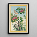 Plantes de Chine Pl013 - Pierre Joseph Buchoz — quadro incorniciato alla parete