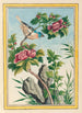 Plantes de Chine Pl013 - Pierre Joseph Buchoz — vista dell’opera