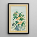 Plantes de Chine Pl018 - Pierre Joseph Buchoz — quadro incorniciato alla parete