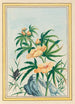 Plantes de Chine Pl018 - Pierre Joseph Buchoz — vista dell’opera