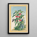 Plantes de Chine Pl021 - Pierre Joseph Buchoz — quadro incorniciato alla parete