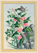 Plantes de Chine Pl022 - Pierre Joseph Buchoz — vista dell’opera