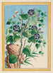 Plantes de Chine Pl023 - Pierre Joseph Buchoz — vista dell’opera