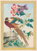 Piante della Cina Pl.024 - Pierre Joseph Buchoz — vista dell’opera