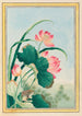 Plantes de Chine Pl027 - Pierre Joseph Buchoz — vista dell’opera