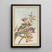Plantes de Chine Pl031 - Pierre Joseph Buchoz — quadro incorniciato alla parete