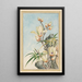 Plantes de Chine Pl032 - Pierre Joseph Buchoz — quadro incorniciato alla parete