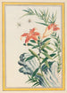 Plantes de Chine Pl033 - Pierre Joseph Buchoz — vista dell’opera