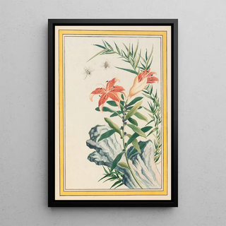 Pierre Joseph Buchoz - Plantes de Chine Pl033.webp