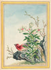 Plantes de Chine Pl038 - Pierre Joseph Buchoz — vista dell’opera