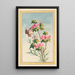 Plantes de Chine Pl043 - Pierre Joseph Buchoz — quadro incorniciato alla parete