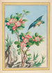 Plantes de Chine Pl045 - Pierre Joseph Buchoz — vista dell’opera