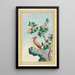 Plantes de Chine Pl048 - Pierre Joseph Buchoz — quadro incorniciato alla parete
