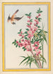 Plantes de Chine Pl049 - Pierre Joseph Buchoz — vista dell’opera