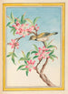 Plantes de Chine Pl052 - Pierre Joseph Buchoz — vista dell’opera