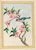 Plantes de Chine Pl053 - Pierre Joseph Buchoz — vista dell’opera